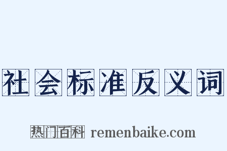 社会标准反义词是什么意思的图片